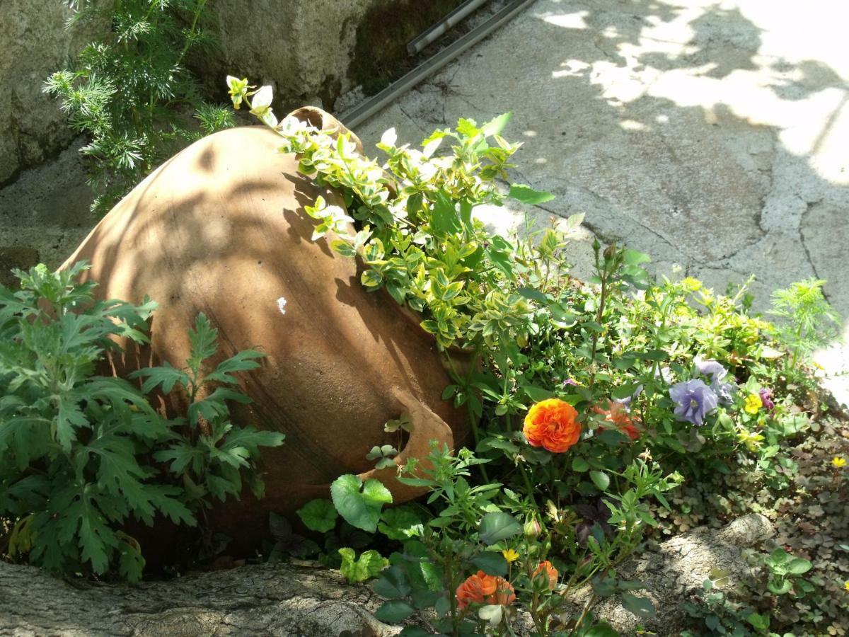 Bakalnitsa Trakiya Hotel Popovets Bagian luar foto